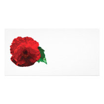 One Red Poppy photo cards