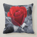 One Red Rose throwpillow