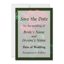 One Red Rosebud Save the Date Announcements