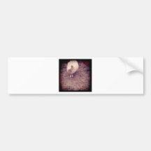 one sheep wolf pack bumper sticker