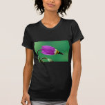 One shooting star flower against green  flowers tees
