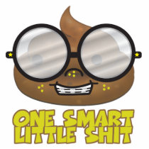 one smart little shit photo sculptures