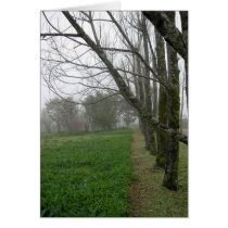 One Spring Morning/ Card by riverme One Spring Morning/ Card