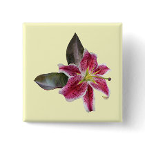 One Stargazer Lily Button