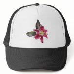 One Stargazer Lily Hat