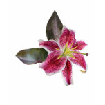 One Stargazer Lily Kids t-shirts