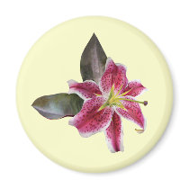 One Stargazer Lily magnets