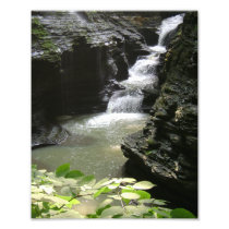 ONE SUMMER'S DAY IN THE GLEN. PHOTO