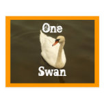 One Swan Postcards