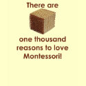 One thousand reasons to love Montessori Tank t-shirts