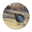 One Tough Old Bird magnets
