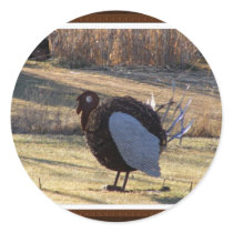 One Tough Old Bird stickers