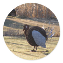 One Tough Old Bird stickers