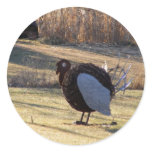 One Tough Old Bird stickers