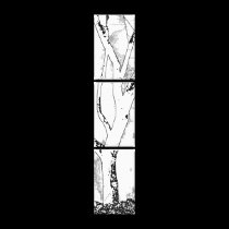 One Tree canvas prints