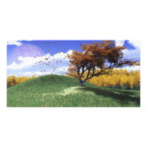 One Tree Hill Photo Card photo cards