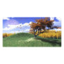 One Tree Hill Photo Card