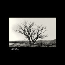 One Tree posters