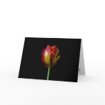 One Tulip - Card cards