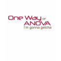 One Way ANOVA t-shirts
