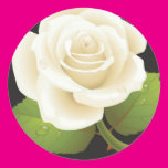 One White Rose Round Stickers