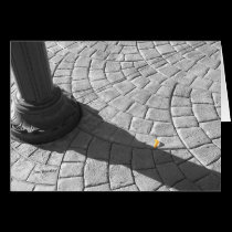 one yellow petal cards