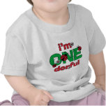 ONEderful Ladybug 1st Birthday Tshirt