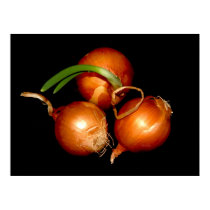 Onion Poster posters