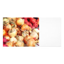Onions Closeup Photo Card