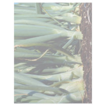 Onions, Grand Bend, Ontario, Canada Personalized Letterhead
