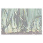 Onions, Grand Bend, Ontario, Canada Customized Stationery