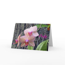 Only an Orchid Card