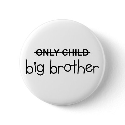 Only Big Brother buttons