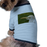 Only Birdbrains Vote for Socialists! Dog Clothing