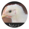 only chick stickers by blacqbook only chick stickers