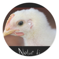 only chick stickers by blacqbook only chick stickers