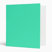 ONLY COLOR - mint Binder