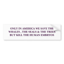 ONLY IN AMERICA WE SAVE THE WHALES , THE SEALS ... bumper stickers