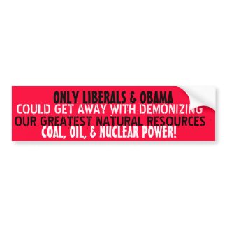 ONLY LIBERALS & OBAMA COULD DEMONIZE OUR bumpersticker