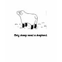 Only sheep need a shepherd. t-shirts by kriskris Only sheep need a shepherd. t-shirts