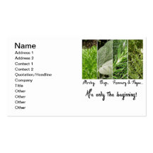 Only the Beginning Business Card