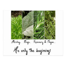 Only the Beginning Postcard