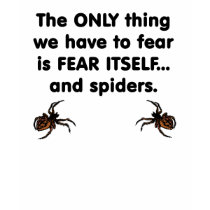 Only Thing We Have To Fear is Fear Itself t-shirts