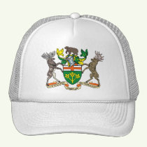 Click here to buy