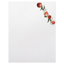 Ontario Fruit and Vegetables Custom Letterhead