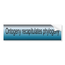 Ontogeny Recapitulate Phylogeny bumper stickers