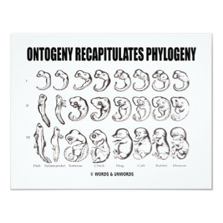 ontogeny recapitulates phylogeny meaning in tamil