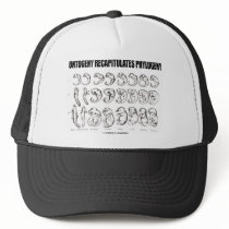 Ontogeny Recapitulates Phylogeny (Biology) Hat