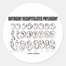 Ontogeny Recapitulates Phylogeny (Biology) Sticker