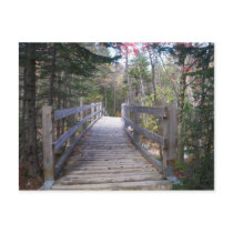 Onward Maine Wood Bridge Postcard